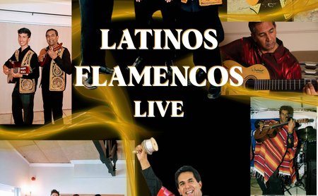 Collage - Latinos Flamencos without the flamenco dancers.jpg