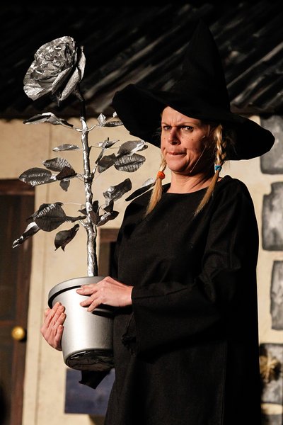 ISSN_PUB_1_719771387018_HEKSIE EN DIE SILWERROOS.jpg